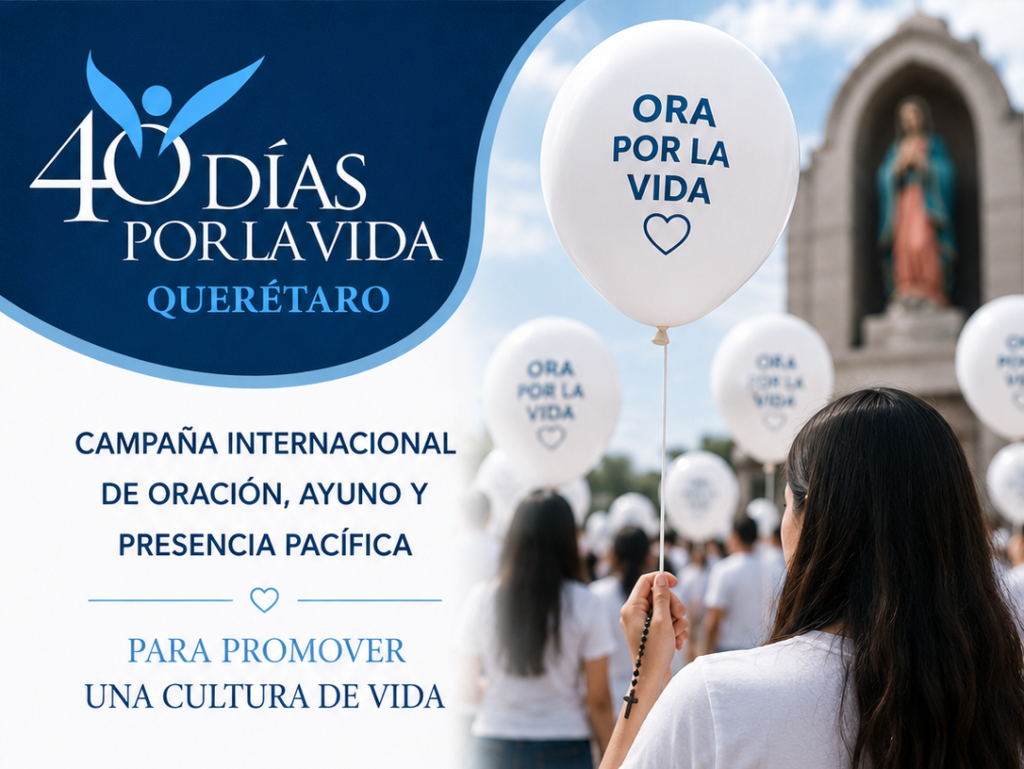 40 dias por la vida categoria
