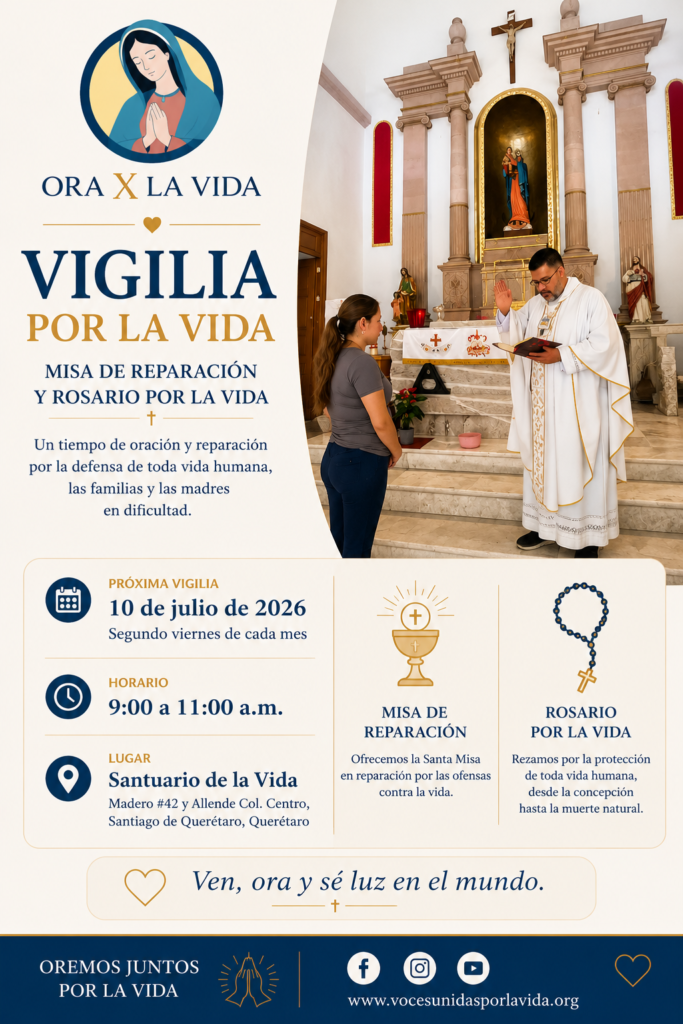 vigilia por la vida categoria